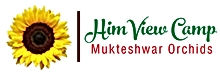 HimView Mukteshwar Camp Nainital.png